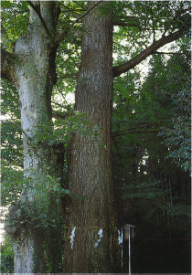 那須町の文化遺産